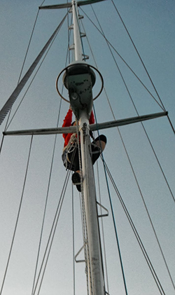 fixed Mast Steps